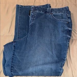 Lane Bryant Jeans
